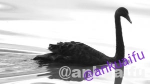 Black-Swan