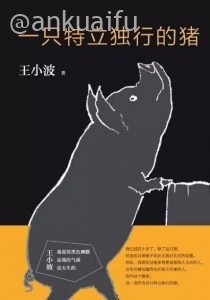 一只特立独行的猪