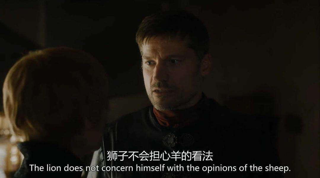 交易员是什么样的动物